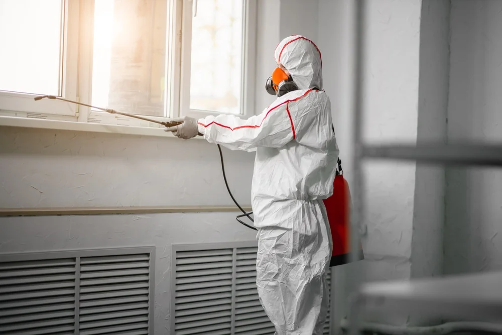 Professional mold remediation services in Jeffersonville, IN